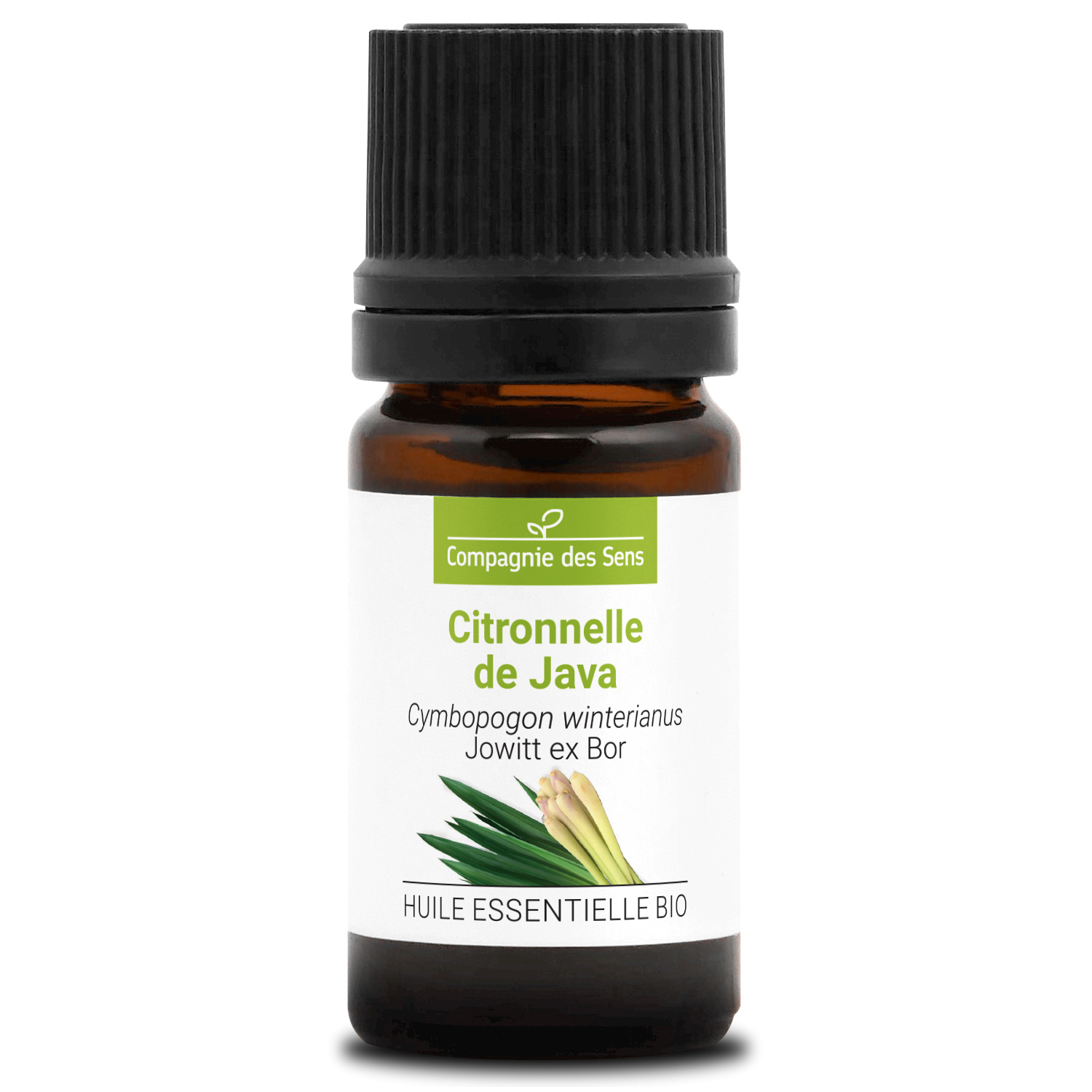 Citronnelle de Java